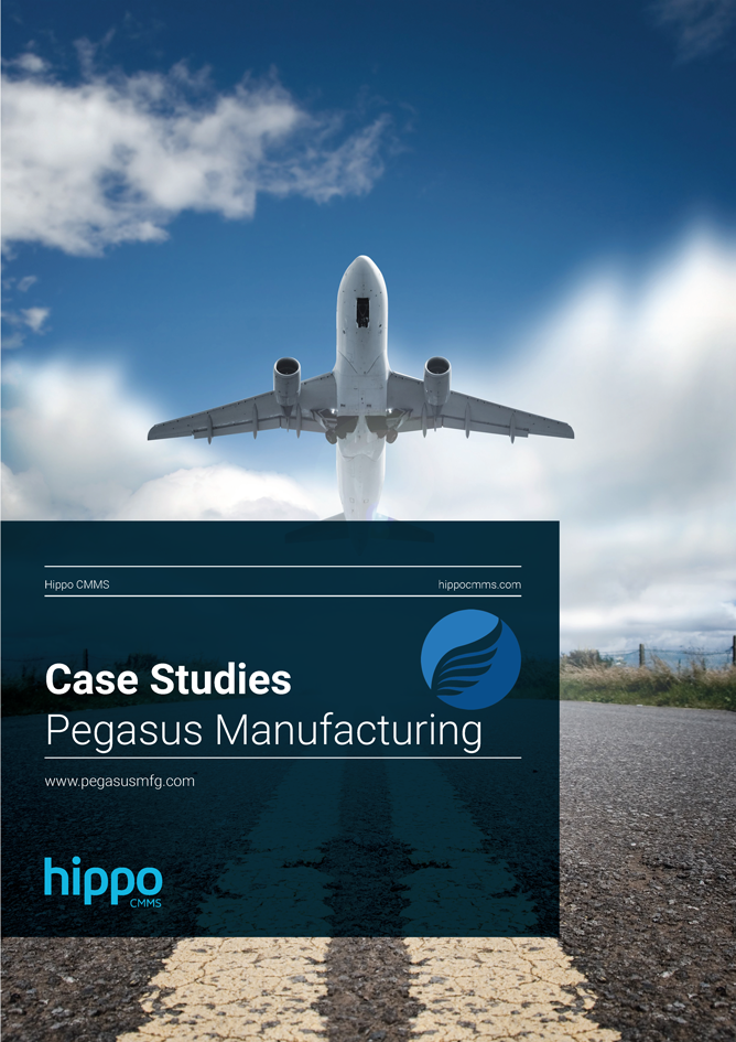Pegasus-Manufacturing---Case-Study_Page_1
