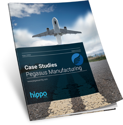 Hippo-CS-Pegasus-Manufacturing-2
